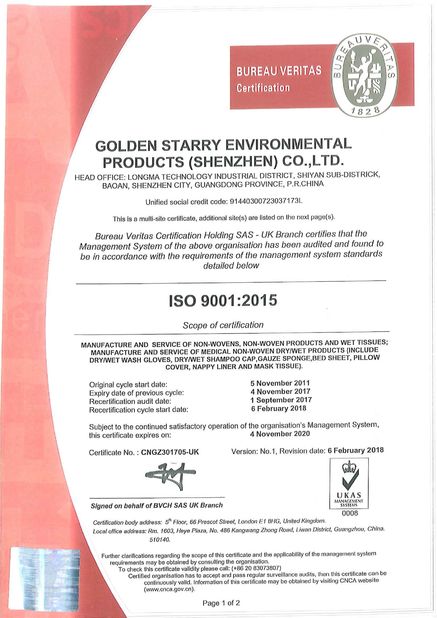 Trung Quốc Golden Starry Environmental Products (Shenzhen) Co., Ltd. Chứng chỉ